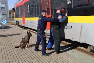 Policjanci z psem służbowym w trakcie ćwiczeń.