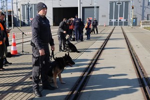 Funkcjonariusze w trakcie szkolenia.