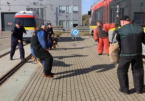 Policjanci w trakcie szkolenia.