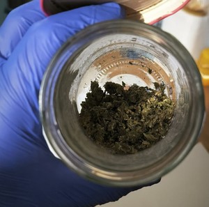 Zielony susz na dnie słoika.