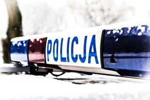 kogut policyjny w śniegu