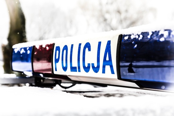 kogut policyjny w śniegu