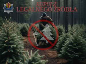 Grafika przedstawiająca wycinkę choinek.