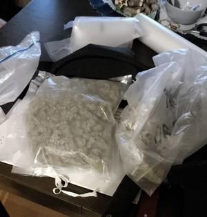 W przezroczystych foliach susz roślinny.