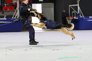 Policjantka z psem służbowym w trakcie pokazu.