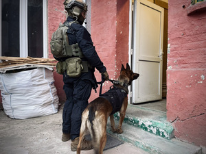 Policjant z psem przed wejściem do budynku.