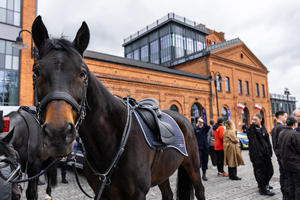 Koń policyjny, młodzież biorąca udział w targach