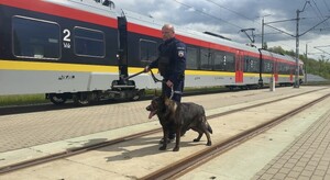 Umundurowany policjant z psem