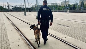 Umundurowany policjant z psem służbowym.