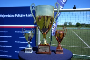 Zdjęcie pucharów.