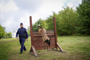 Pies pokonuje przeszkody, obok policjant.