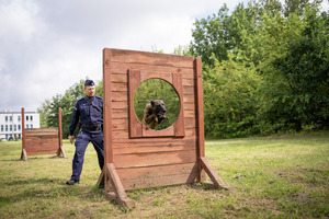 Pies pokonuje przeszkody,obok policjant.