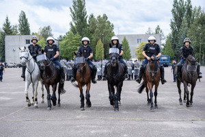 Policjanci na koniach.