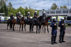 Policjanci na koniach.