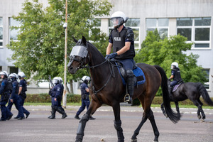 Policjant na koniu.
