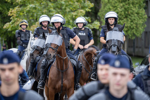 Policjanci na koniach.