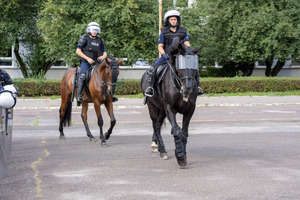 Policjanci na koniach.