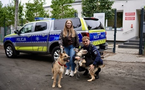 Umundurowany funkcjonariusz Policji z żoną na spacerze z podopiecznymi schroniska.