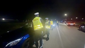 Umundurowani funkcjonariusze kontrolujący pojazdy.