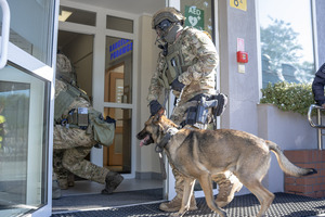 Policjanci z Samodzielnego Pododdziału Kontrterrorystycznego Policji wraz z psem służbowym wchodzą do budynku.