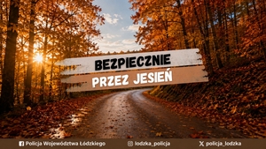 Jesień na drodze.
