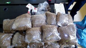 zabezpieczony tytoń