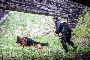 Egzamin psów policyjnych