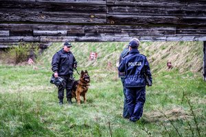 Egzamin psów policyjnych