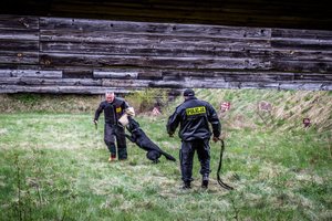 Egzamin psów policyjnych
