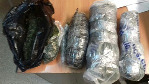 narkotyki ujawnione w zamrażarce