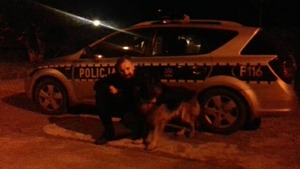 przewodnik i pies tropiący