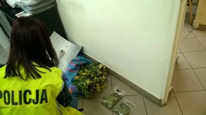 Policjantka kuca na korytarzy, obok rośliny konopi indyjskiej w worku.