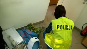 Policjantka kuca na korytarzy, obok rośliny konopi indyjskiej w worku.