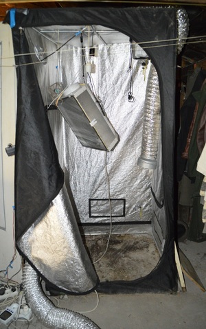 sprzęt do uprawy konopi indyjskich