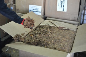 Zabezpieczony tytoń.