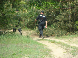 poszukiwania w  lesie