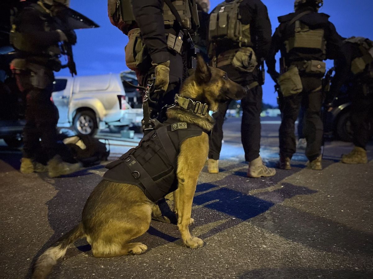 Skuteczna akcja łódzkich policjantów - rozbita zorganizowana grupa przestępcza