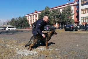 teren przed budynkiem liceum mundurowego, pokaz tresury policyjnych psów słuzbowych