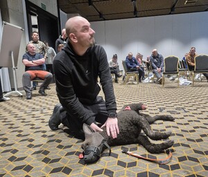 Udzielenie pierwszej pomocy psu.