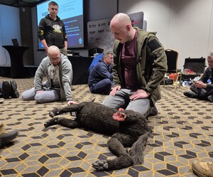 Udzielenie pierwszej pomocy psu.