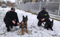 Dwóch policyjnych przewodników psów ze swoimi czworonoznymi towarzyszami
