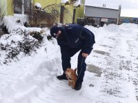 policjant wraz z psem który przebywa w schronisku
