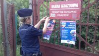 policjantka podczas przywieszania plakatu informacyjnego