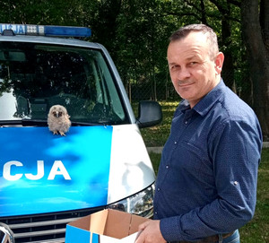 policjant, który uratował sowę, w tle sowa siedząca na policyjnym radiowozie