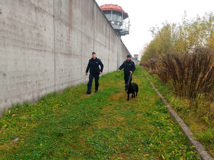 policjanci z psem służbowym sprawdzają teren przyległy do Aresztu Śledczego
