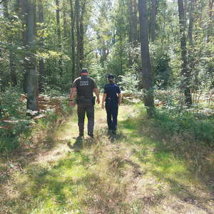 Patrol Policji i Straży Leśnej.