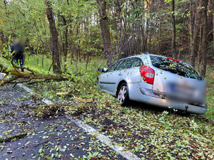 Auto na poboczu, które uderzyło w drzewo.