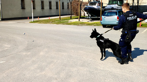 Przewodnik wraz z psem.