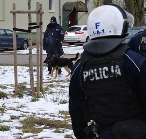 Zabezpieczenie meczu, policjanci, w tym jeden funkcjonariusz z psem stoją przed stadionem.