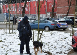 Zabezpieczenie meczu, policjant z psem służbowym stoi przed stadionem.